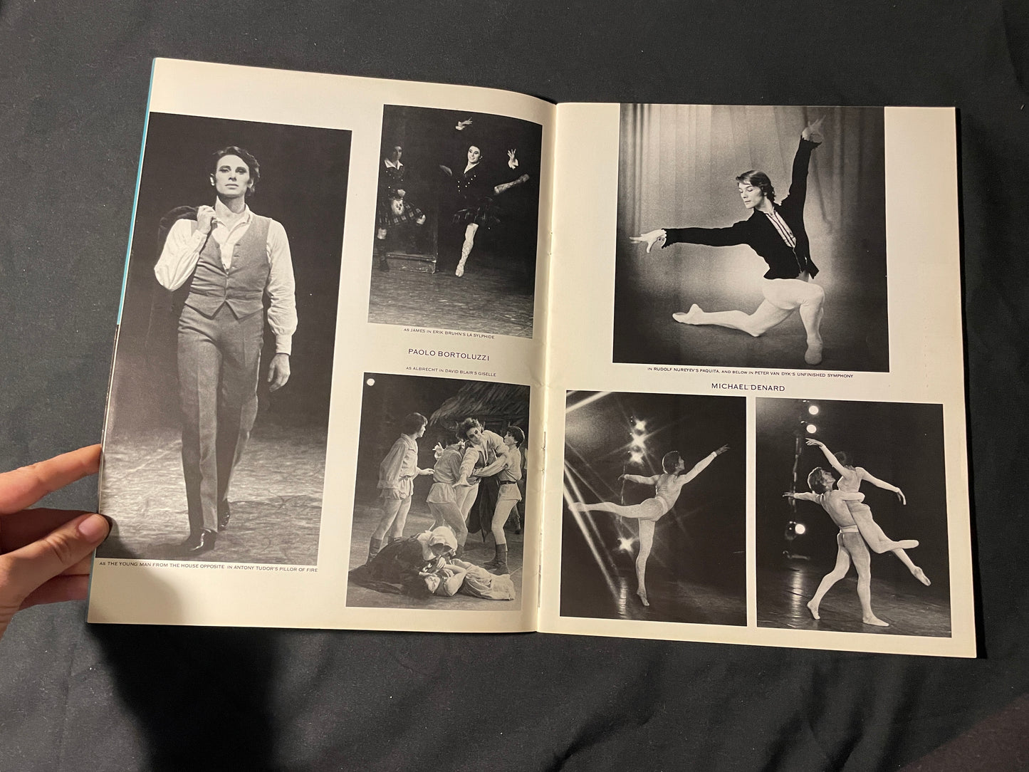 ABT 1973 Souvenir Program