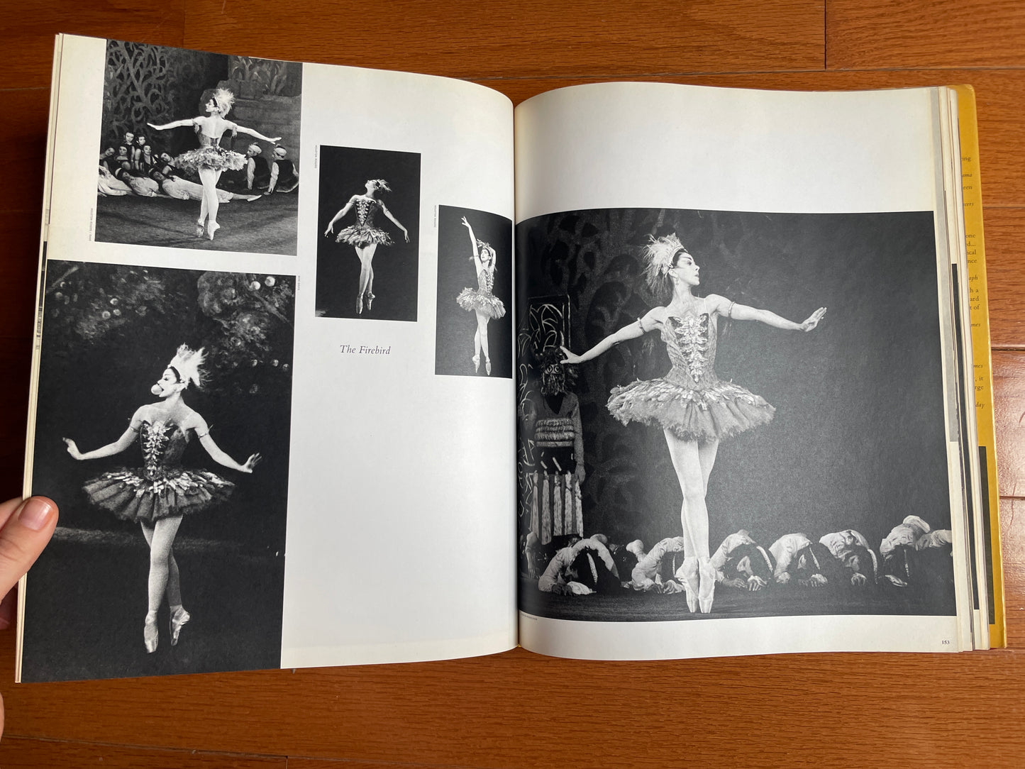 Fonteyn: The Making of a Legend SIGNED COPY