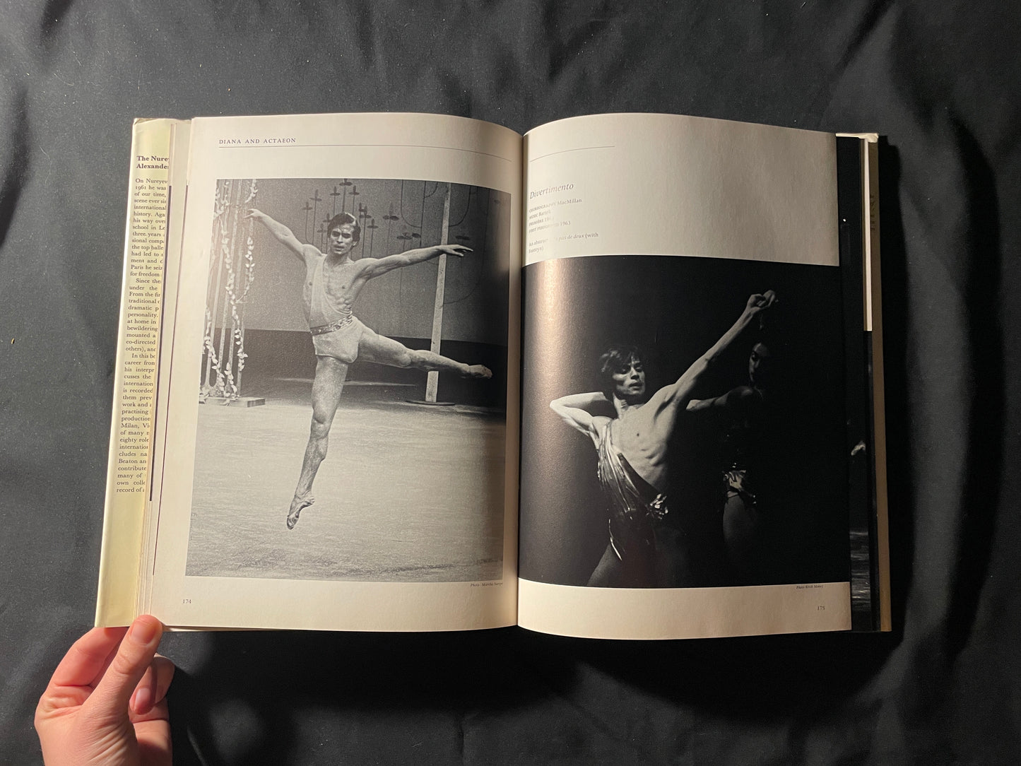 The Nureyev Image